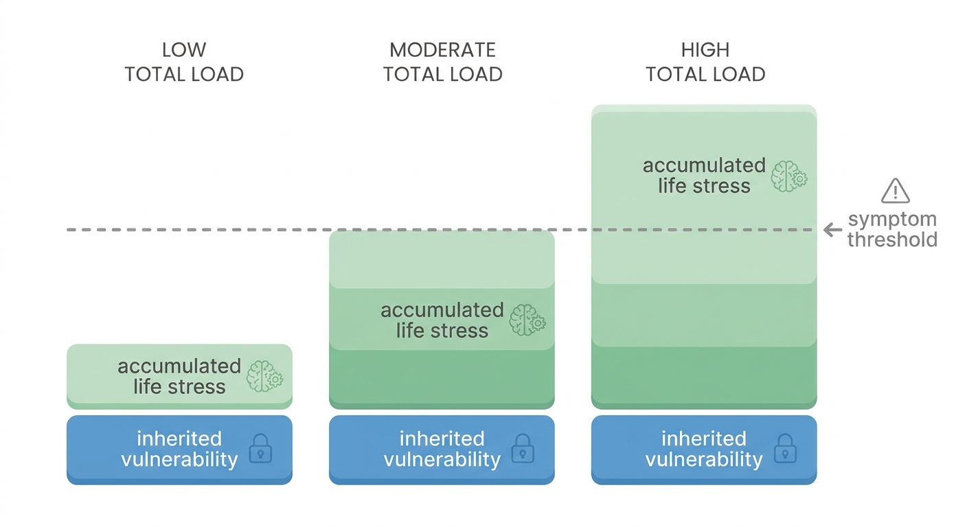 Diagram: Stress-vulnerability model showing inherited sensitivity plus accumulated life stress crossing a symptom threshold